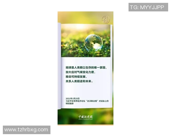 一诺清线：传承诚信之道，构建和谐社会新风尚