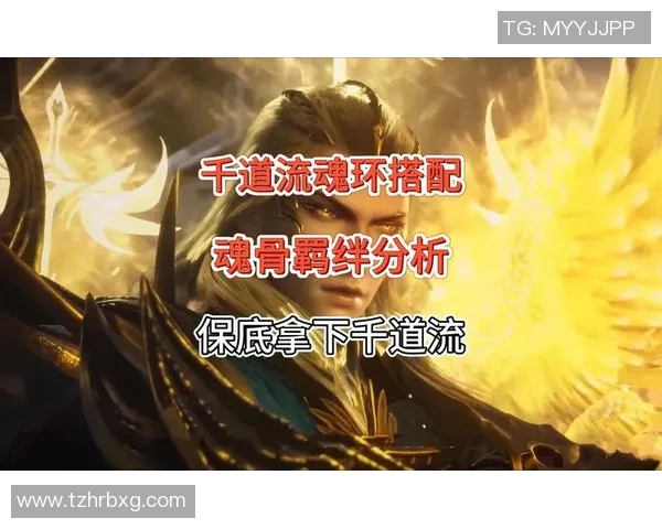 VCTXLG对阵WOL精彩对决分析及赛后点评