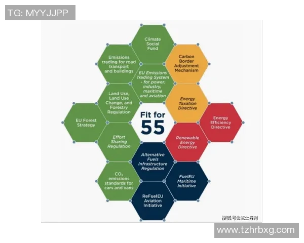 欧盟推出碳边境调节机制计划,加速实现碳中和目标 欧盟推出碳边境调节机制计划,加速实现碳中和目标